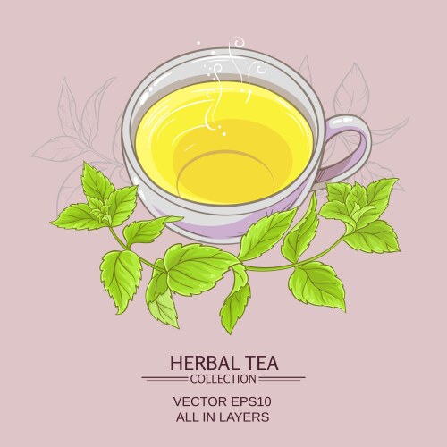 Peppermint Tea Sketch – Royalty-Free Vector | VectorStock