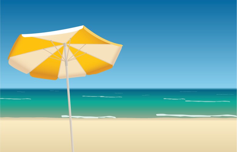 Summer tropical backgrounds set with palms sky Vector Image