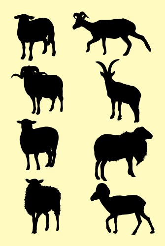 Sheep silhouettes Royalty Free Vector Image - VectorStock