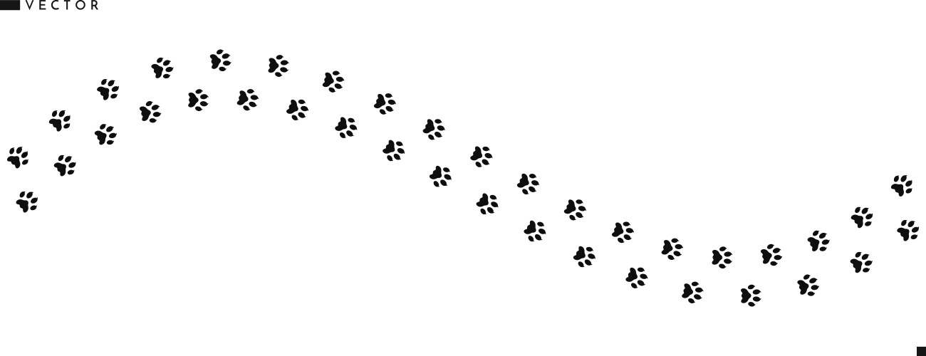 Dog paw prints silhouette Vector Image