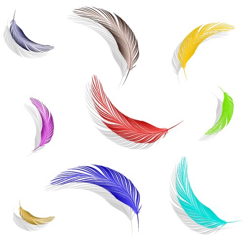 Three different colorful feathers native indian Vector Image