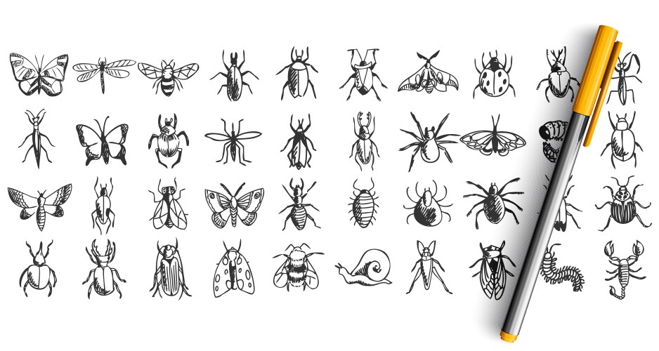 Insect Sketch Collection Vector Image