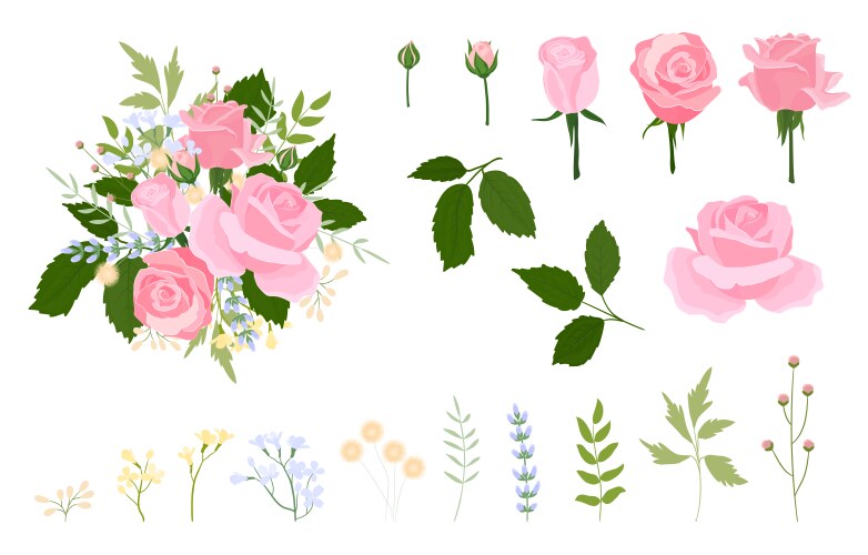 pink floral roses in watercolor style wedding vector image