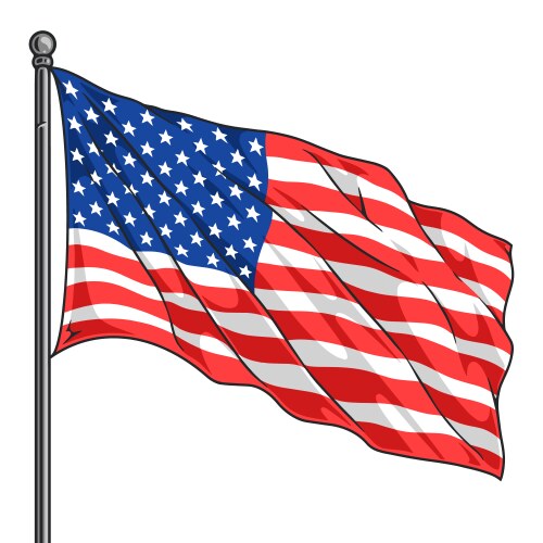 US Flag Waving in the Wind Vector Image