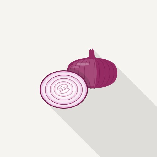 onion flat icon vector image