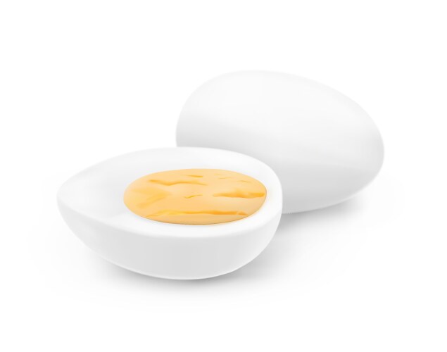 white boiled eggs vector image