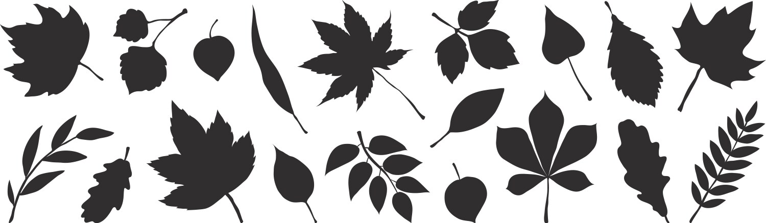 Fall Leaves Vector Images (over 90,000)
