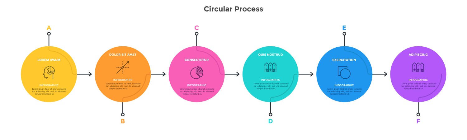 Modern infographic options banner vector image