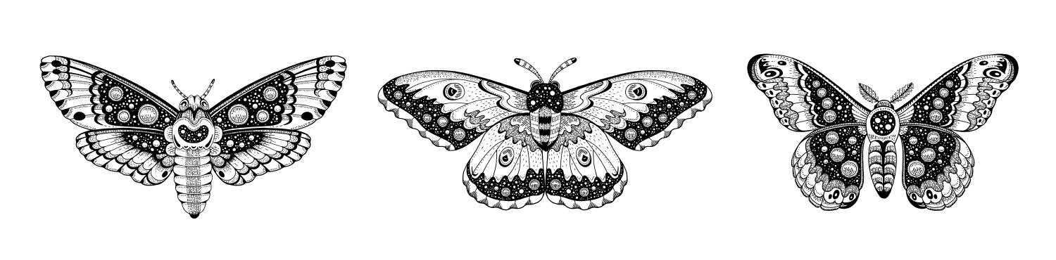 Moth & Celestial Art Set Vector Image
