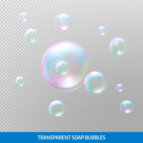 Soap bubble on transparent background realistic Vector Image