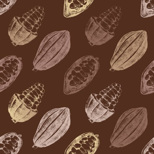 Seamless pattern with cocoa beans vector image