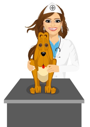 Bloodhound sitting on table visiting veterinarian Vector Image