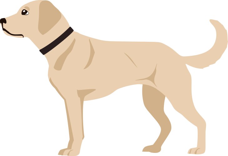 Labrador Vector Images (over 12,000)