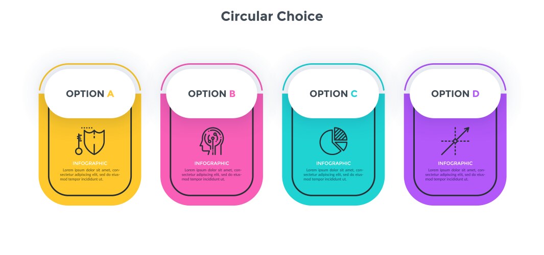 modern infographic options banner vector image