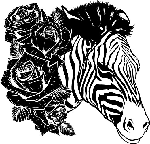 Draw in black and white head zebra with roses Vector Image