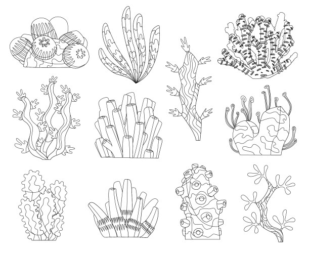 Marine algae ocean seaweed and corals silhouettes Vector Image