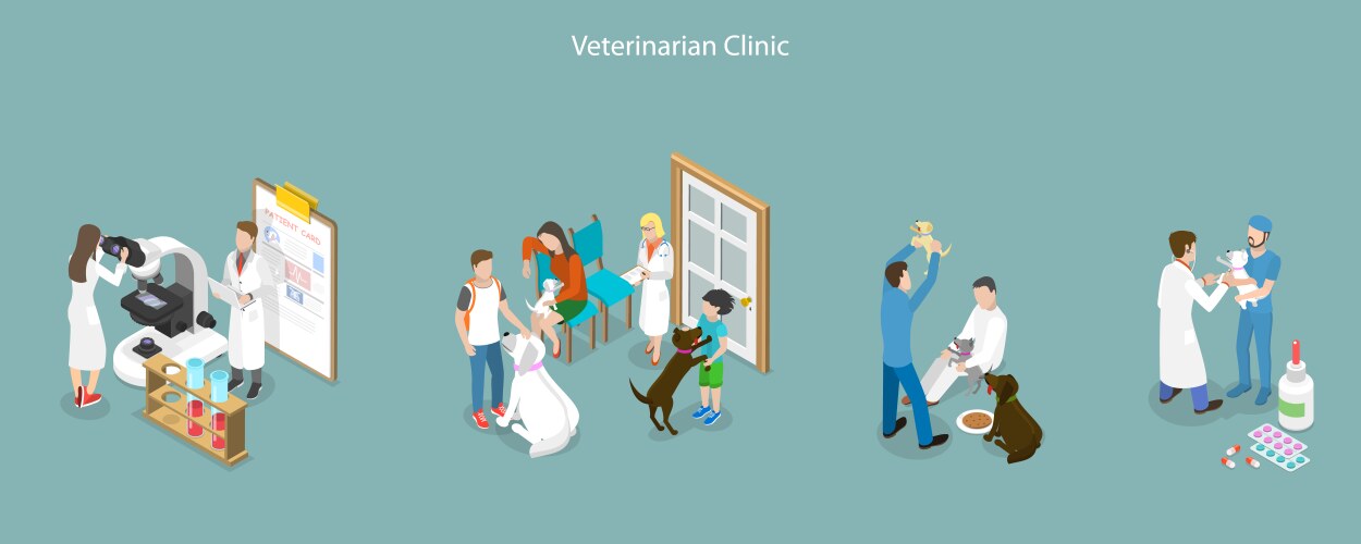 3d isometric flat Royalty Free Vector Image - VectorStock