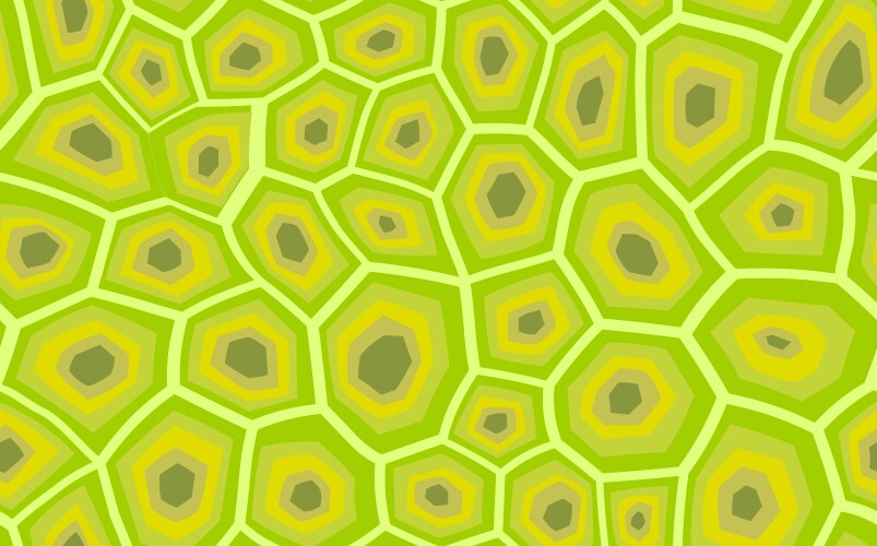 Abstract modern turtle shell seamless pattern vector image