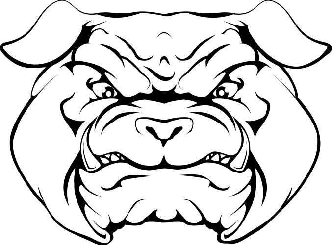 Tough Bulldog Head Vector Image