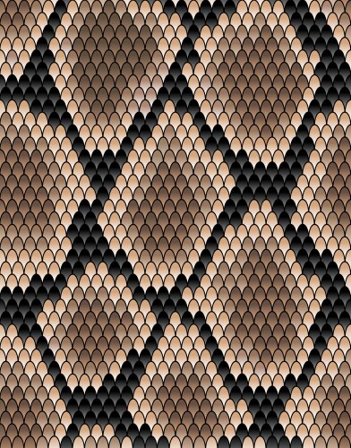 seamless pattern of snake skin vector