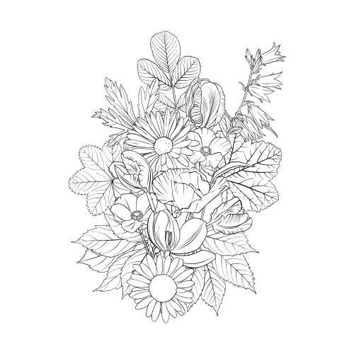 Floral Botanical Sketch Vector Image