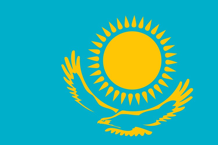 Rectagular flag cutout of kazakhstan vector image