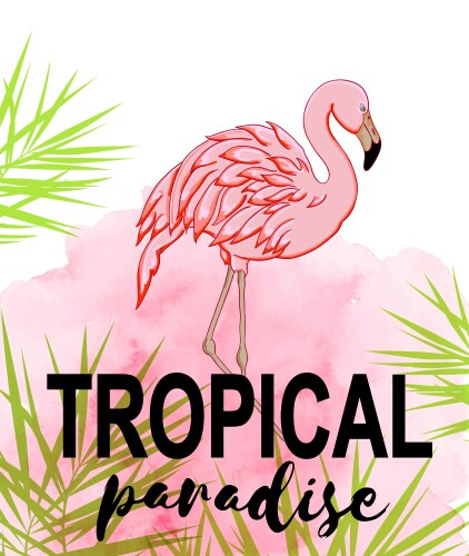 Tropical Flamingo Background Vector Image