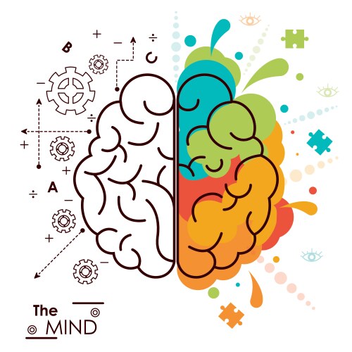 Human left and right brain cartoon Royalty Free Vector Image