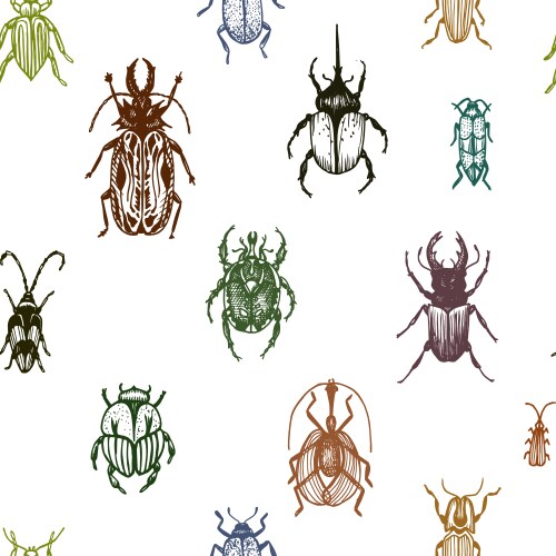 Detailed Bug Ornament Sketch Vector Image