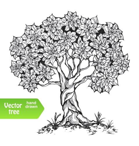 Hand drawn tree symbol Royalty Free Vector Image