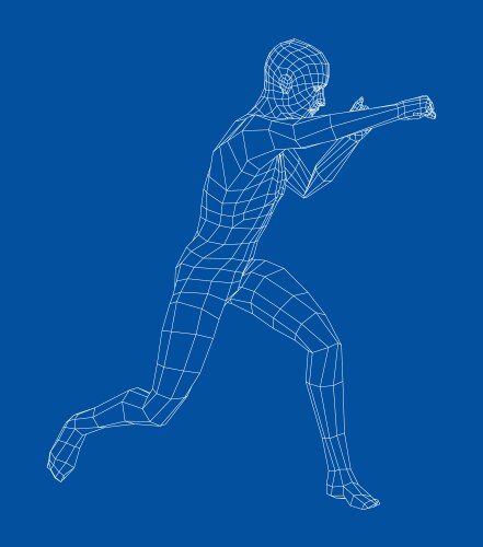 Wireframe boxing man Royalty Free Vector Image