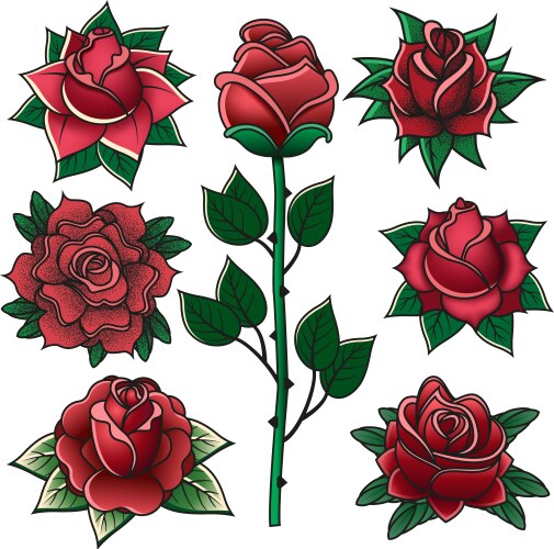 Vintage Rose Engraving Collection Vector Image