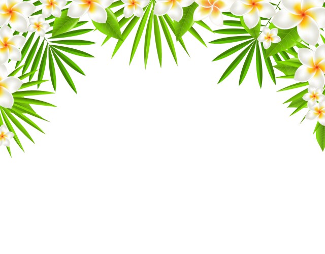 Color frangipani frame Royalty Free Vector Image