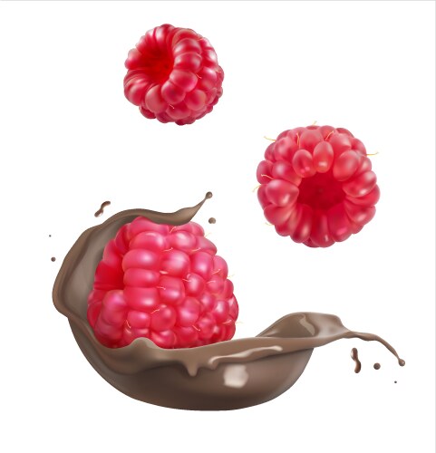 Big chocolate cake Royalty Free Vector Image - VectorStock