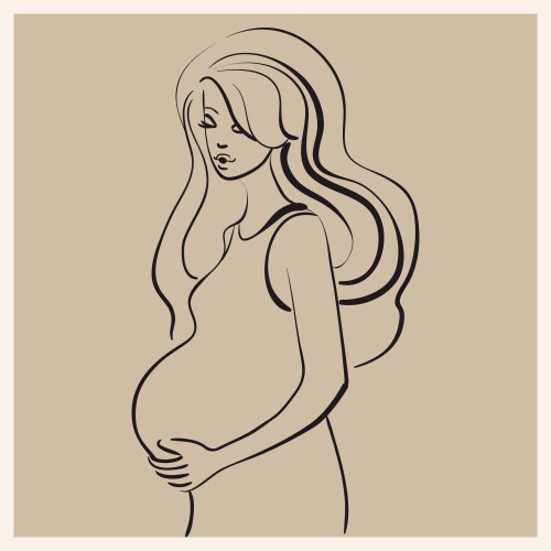Pregnancy sketch Vector Image