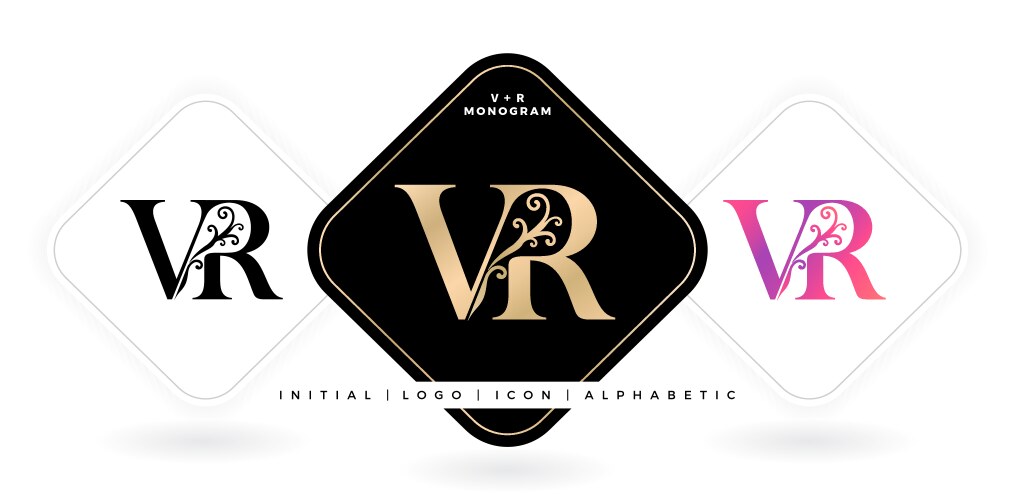 Vr initial letter and graphic name Vector Image