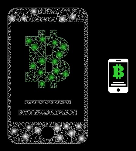 Mesh net bitcoin mobile account vector image