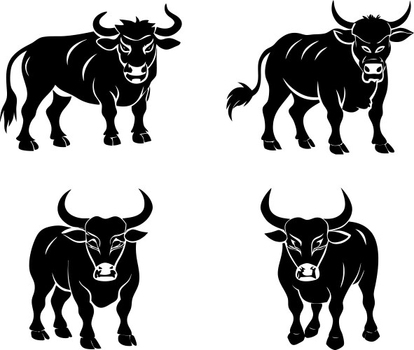 Set of bull full body on white Vector Image
