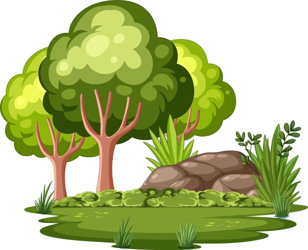 Green trees and rocks in a forest Vector Image