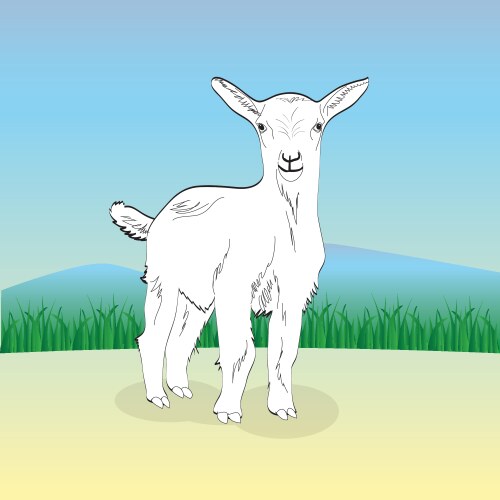 Goat Vector Images (over 37,000)