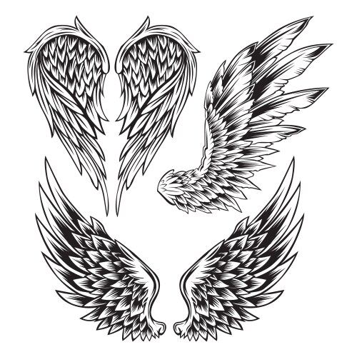 Black and White Wing Tattoo Set Vector Image