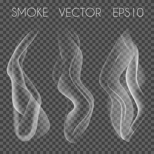 Set of transparent realistic white grey vector image