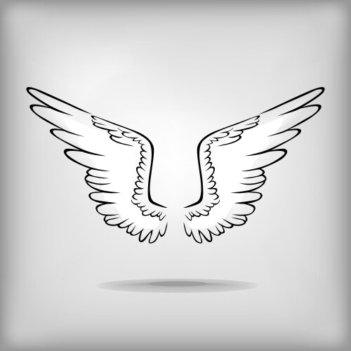 Wing Vector Images (over 420,000)