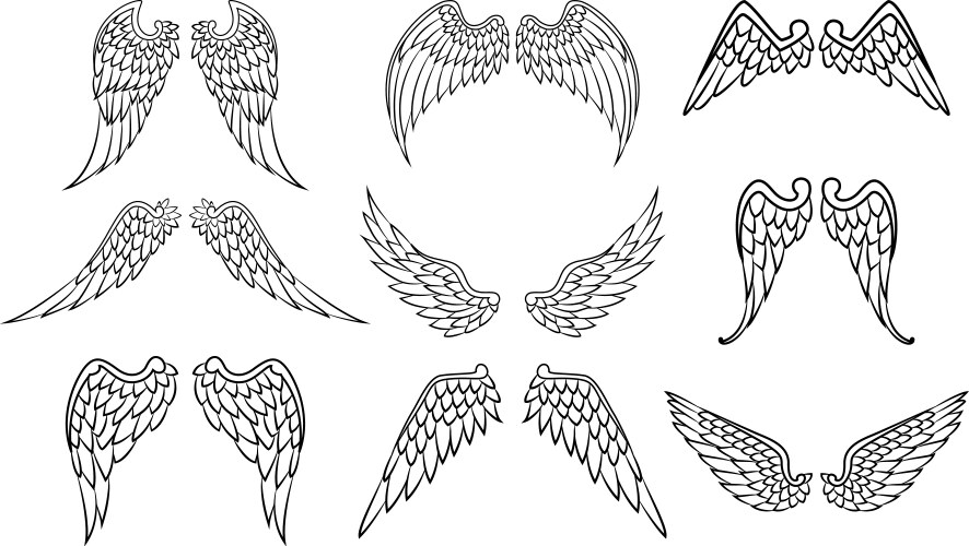 Wing Symbol Set Vector Image