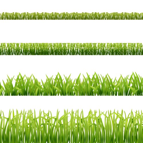 Green grass realistic background Royalty Free Vector Image