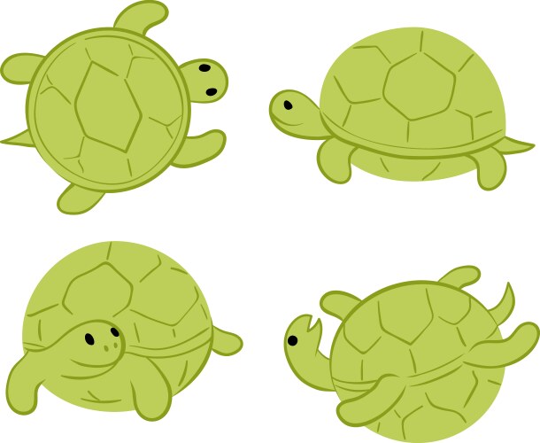 Cartoon a turtle walking in the middle Royalty Free Vector