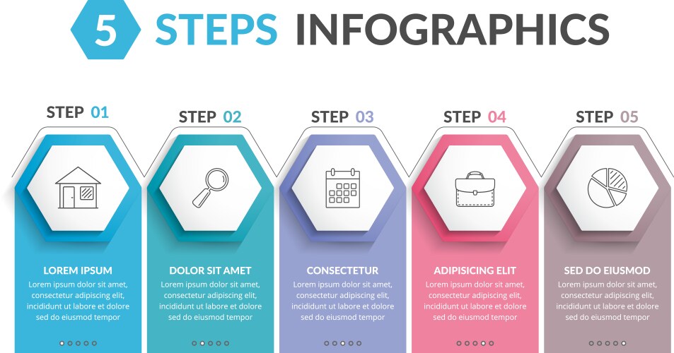 5 steps infographics vector image