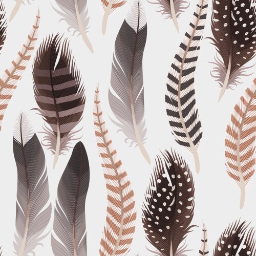 Bird feathers set Royalty Free Vector Image - VectorStock