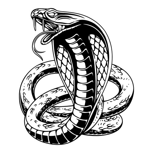 Design angry cobra with circle background black vector image