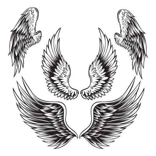 Black and White Wing Tattoo Set Vector Image